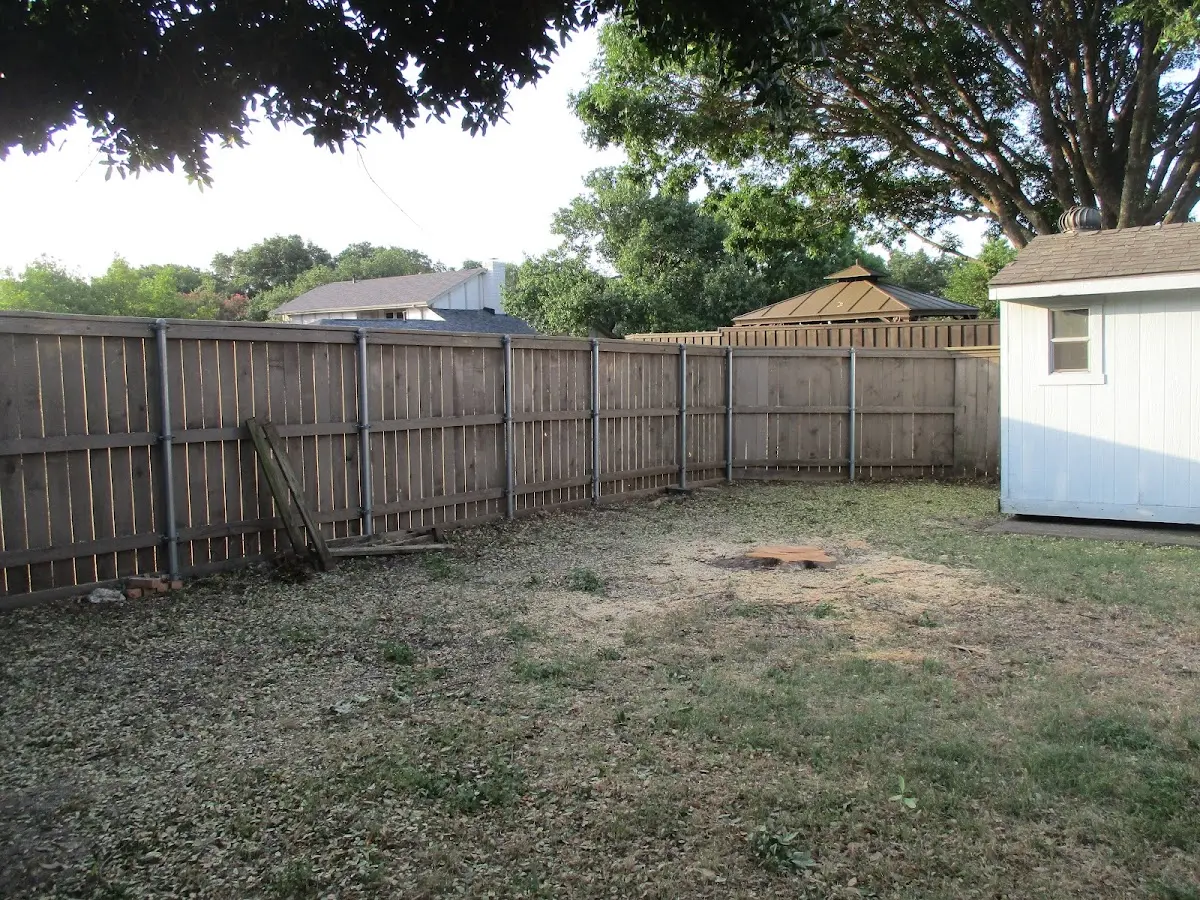 Cleared yard after professional tree removal in Reads Landing